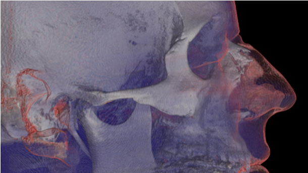 image-png-Nov-05-2025-09-51-22-6390-PM