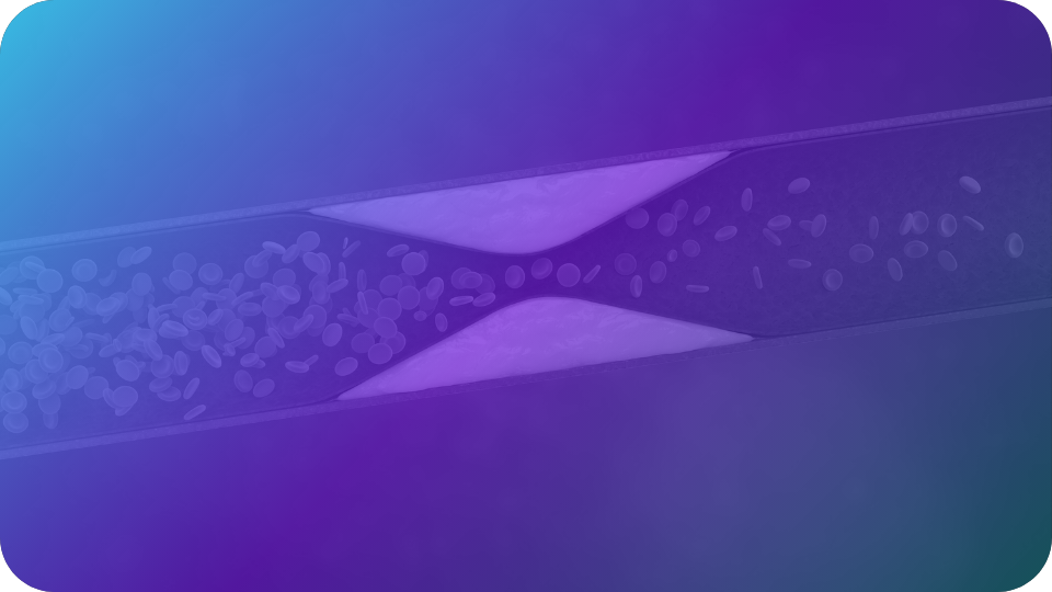 Coronary Plaque Analysis