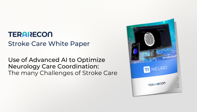 Resource Page - Stroke Care White Paper 2023