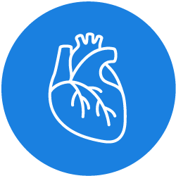 TeraRecon---Advanced-Visualizations-Structural-heart-icon