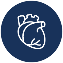 TeraRecon-AI-Page-Cardiology-Icon