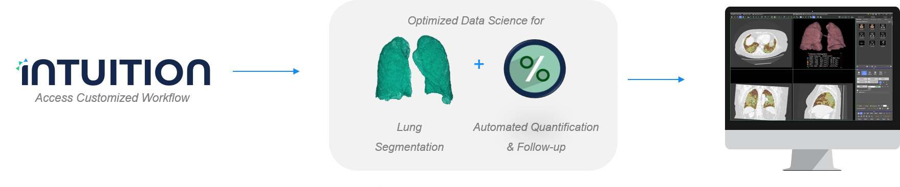 lung density workflow-1